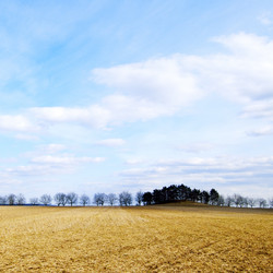 Similar image 2041799