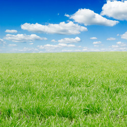 Similar image 2041856