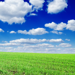 Similar image 2041858