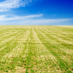 Similar image 2041864