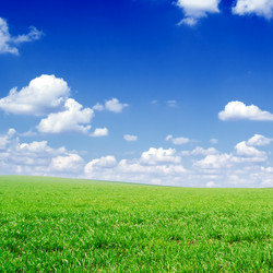 Similar image 2041865