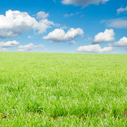 Similar image 2041869