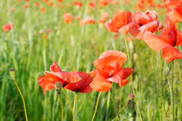 Similar image 2041974