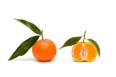 Similar image 2041982