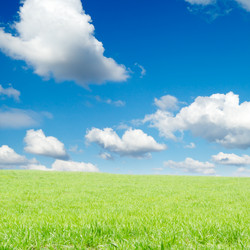 Similar image 2041983