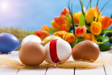 Similar image 2044570