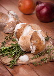 Similar image 2044573