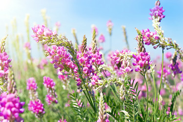 Similar image 2044612