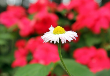 Similar image 2044627