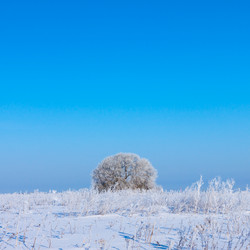 Similar image 2045081