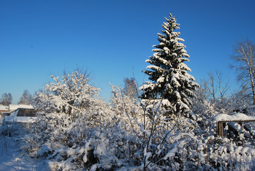 Similar image 2045688