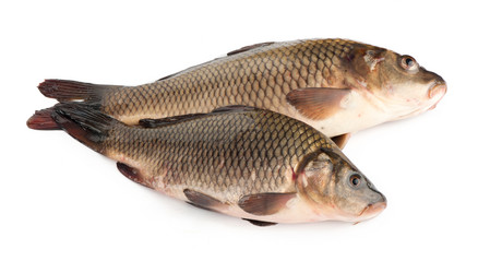 Similar image 2050780