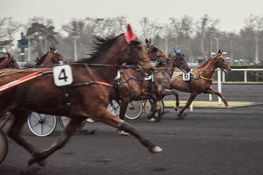 Similar image 2051332