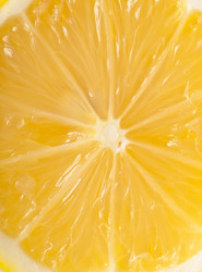 Similar image 2051341