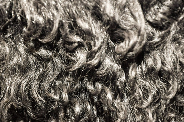 Similar image 2051548