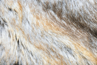 Similar image 2051554