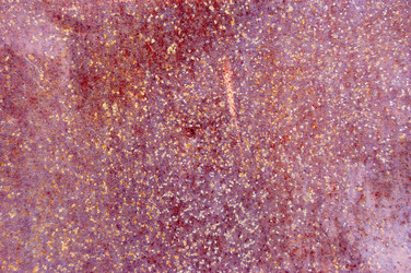 Similar image 2052394