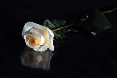 Similar image 2059711