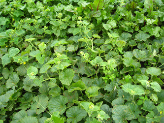 Similar image 2060001