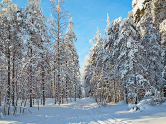 Similar image 2060066