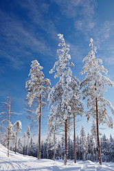 Similar image 2060068