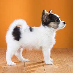 Similar image 2060271