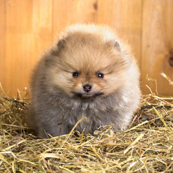 Similar image 2060273