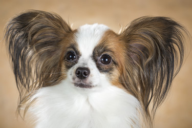 Similar image 2060381