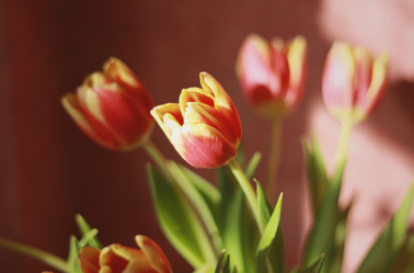 Similar image 2060395