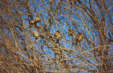 Similar image 2060396