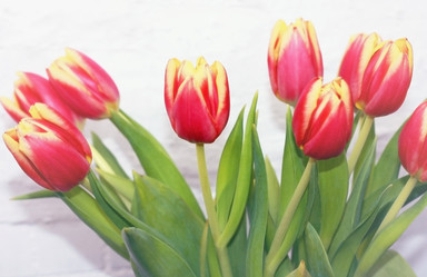 Similar image 2060405