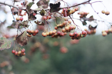 Similar image 2060544