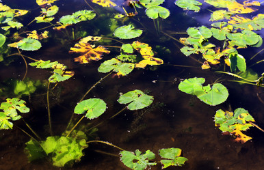 Similar image 2060548