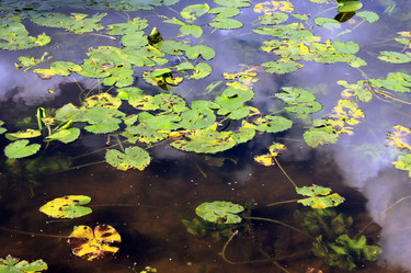 Similar image 2060550