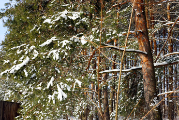 Similar image 2060553