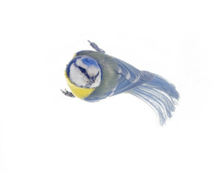 Similar image 2061163