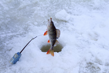 Similar image 2061291