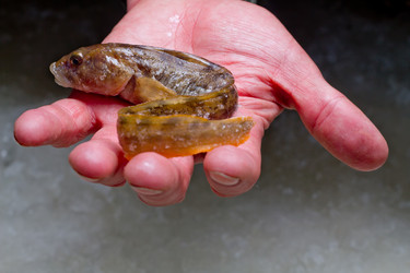 Similar image 2062335