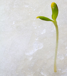 Similar image 2062347