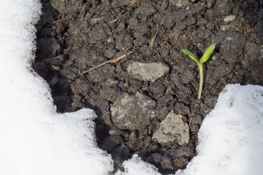 Similar image 2062373