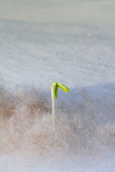 Similar image 2062375