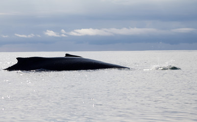 Similar image 2062379