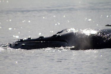 Similar image 2062382