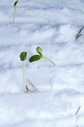 Similar image 2062387