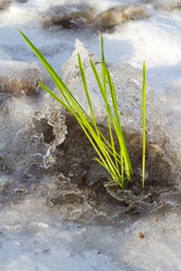 Similar image 2062392