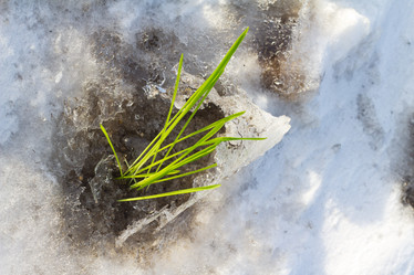 Similar image 2062394