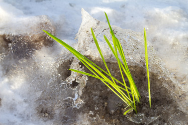 Similar image 2062396