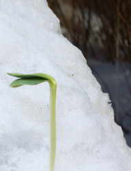 Similar image 2062397