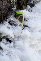 Similar image 2062400