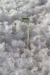 Similar image 2062416